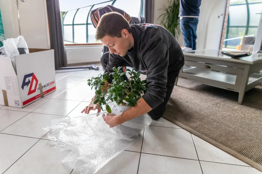 particulier déménagement